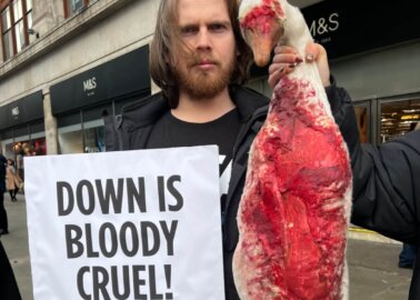 Here’s the Rest of Your Down Jacket: PETA Supporters Surprised Shoppers Outside Marks & Spencer