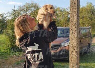 PETA’s 2022 Victories for Animals Round-Up!