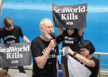 PETA’s 2022 Person of the Year Is … James Cromwell!