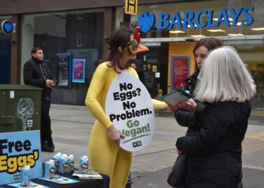 PETA Passed Out Vegan Eggs in Lincoln Amid Egg Shortage