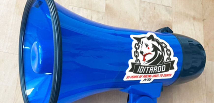 iditarod lewis hamilton megaphone peta uk Will Lewis Hamilton Use His Megaphone Birthday Gift to Help Dogs?