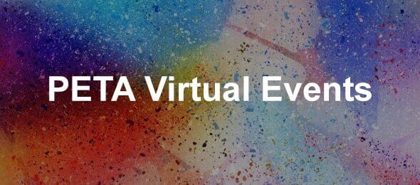 Upcoming PETA Events