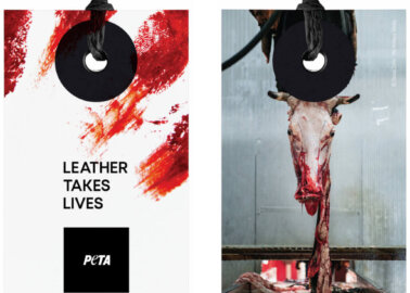 ‘Leather Takes Lives’: New PETA Tags Clap Back at Pro-Leather Trade Group