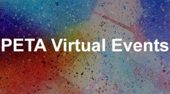 Upcoming PETA Events