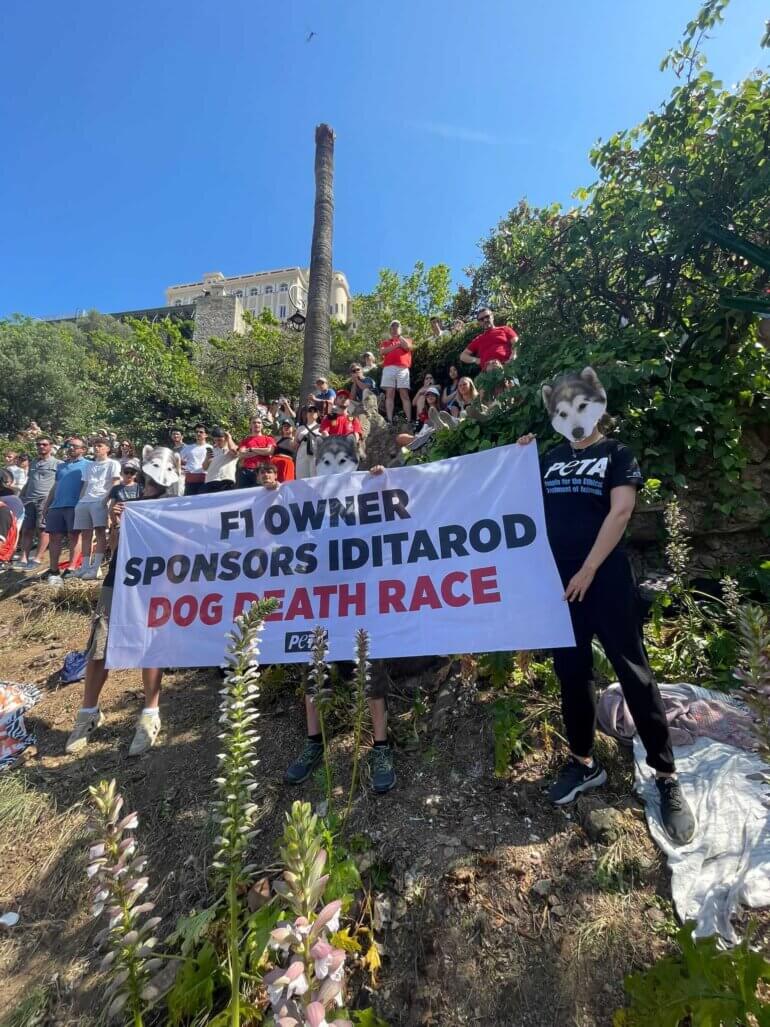 IMG 20230527 WA0008 1 ‘Dogs’ Call On Formula 1 to Stop Supporting Deadly Iditarod