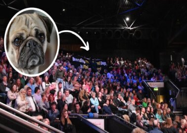 BREAKING: PETA Crashes Crufts Over Flat-Faced Breeds