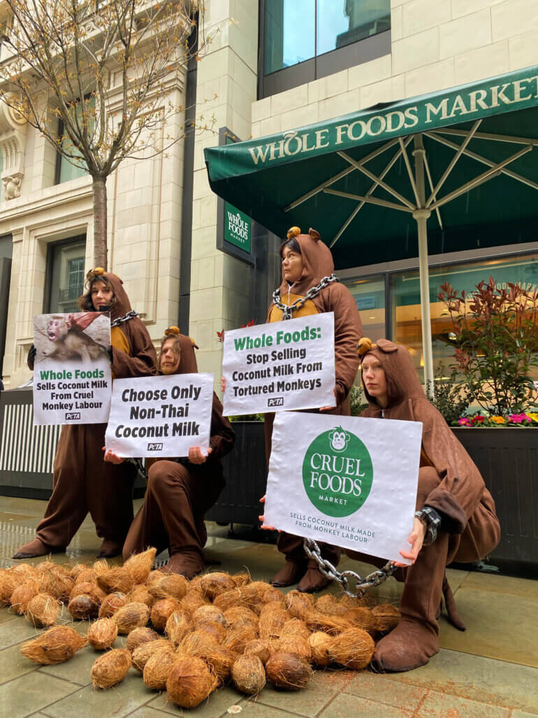 Wholefoods Coconut Demo2