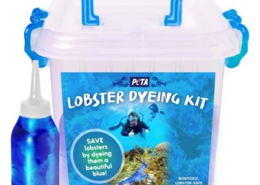 Fishers Spare Blue Lobsters, so PETA Releases Kit to Dye All Lobsters Blue