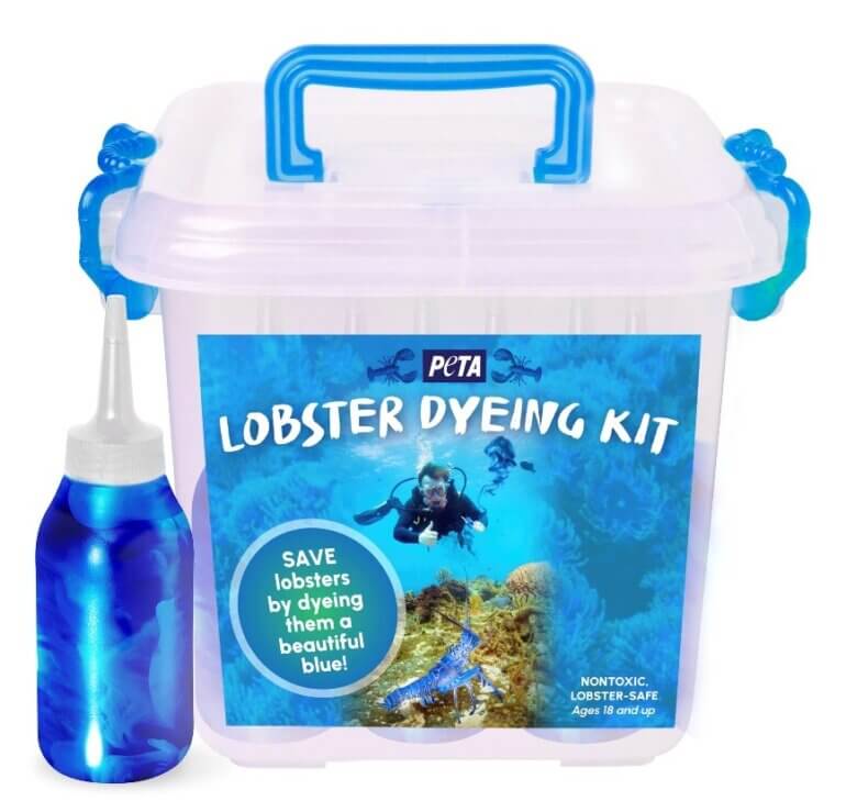 blue lobster dye kit