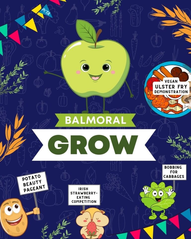 Balmoral Grow IG image 3