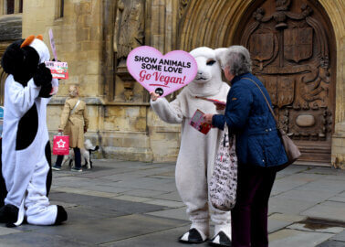 Global Love Day: PETA Urges Bath Locals to Care for Pigs With Vegan Bacon Giveaway