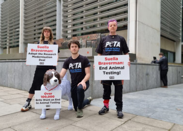 PETA Submits Over 100,000-Strong Petition Against Tests on Animals