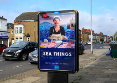 PETA Billboard to Grimsby Locals: Eating a Fish Is Like Eating a Cat