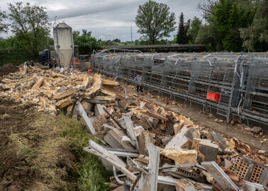 A man walks among the ruins of a destroyed barn on an Italian egg-production factory farm. Extreme weather in May 2023 caused mudslides and massive flooding, severely affecting numerous factory farms. An overflowing river next to this farm caused a landslide, destroying the chicken sheds and killing over 60,000 chickens. Any surviving chickens are being caught and moved to a similar type of farm. San Lorenzo in Noceto, Emilia-Romagna, Italy, 2023. Selene Magnolia / Essere Animali / We Animals Media