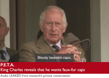 ‘Leaked’ Video Captures ‘King Charles’ Criticising Palace Guards’ Fur Caps