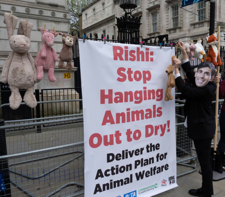 Rishi Sunak Downing Street Action Plan for Animal Welfare Demo 2