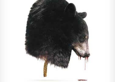 Hiding the Bloody Reality! See the PETA Ad That Was Rejected in Windsor