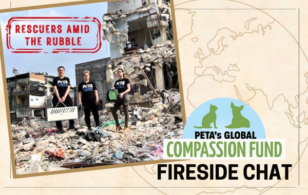 GCF Fireside Chat June 2023