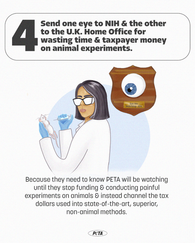IEN will illustration 4 NIH and U.K. Home Office