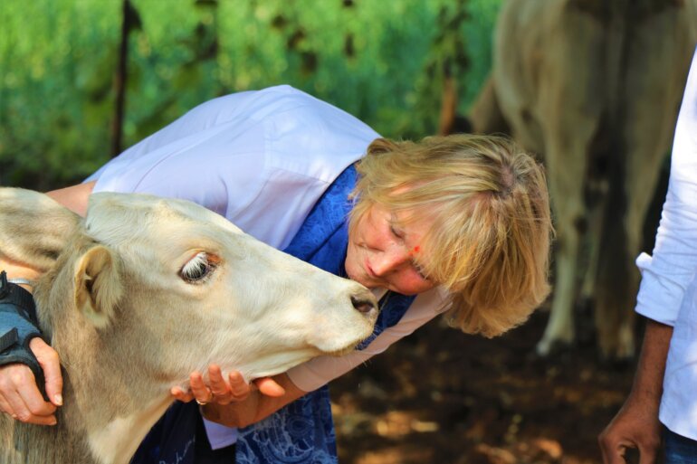 IEN with bullock 2048x1365 1