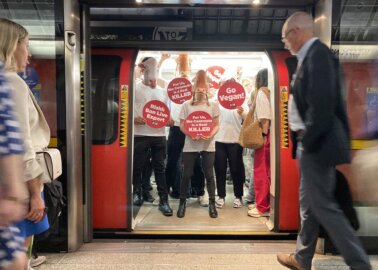 ‘Cows’ on the Tube? Herd of Animal Allies Demand That Rishi End Live Exports