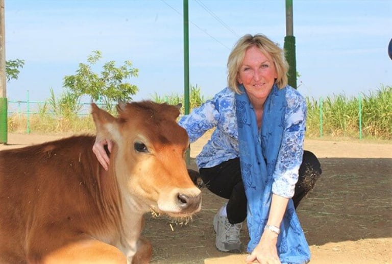 ingrid with cow animal rahat 768x517 1654699094