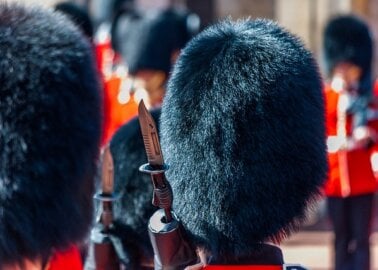 Would Fainting Guards Be Safer With PETA’s Faux Bear Fur Cap?