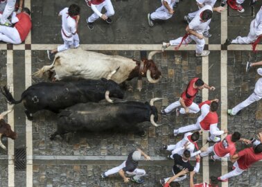 Travel Company Drops Running of the Bulls From Itinerary After PETA Push