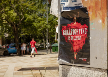 PETA’s Anti-Bullfighting Ad Blocked Ahead of San Fermín Festival. See It Now!