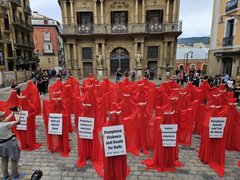 Pamplona demo bullfighting 2023 1
