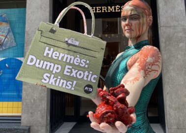 Louis Vuitton: Using Animal Skins Is Not Humane