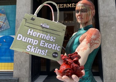Notorious Activist Brings ‘Blood’ and ‘Guts’ From Australia to Hermès’ Flagship London Store