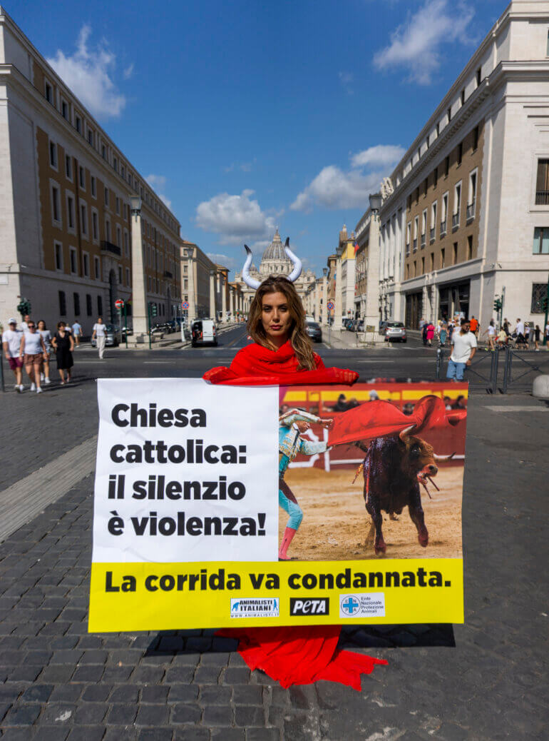 bullfighting Vatican demo 2