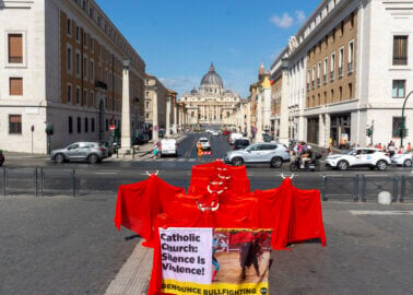 Vatican Protest Calls On Pope to Denounce Bullfighting