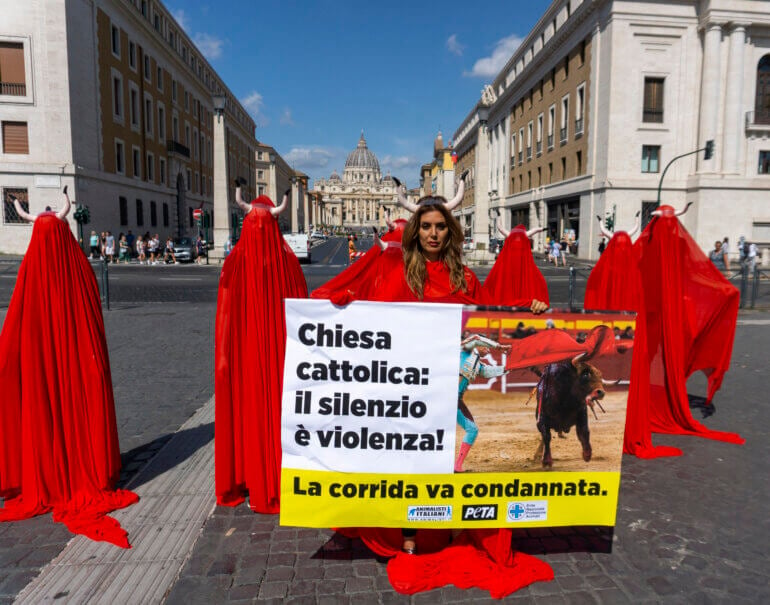 bullfighting Vatican demo 5