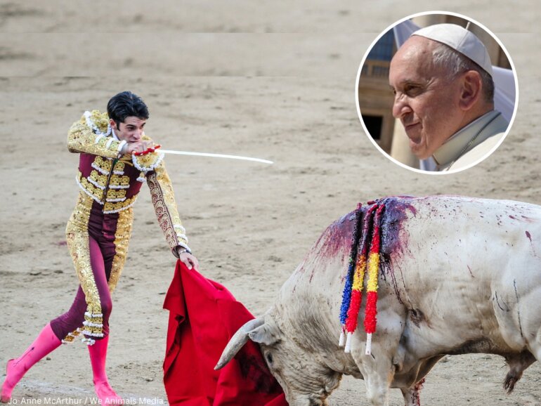 pope bullfighting blank joe anne mcarthur we animals media