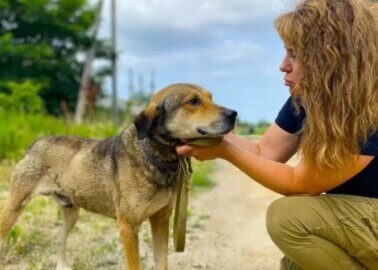 PETA Entities Are in Ukraine, Moving Mountains to get to Animals in Need