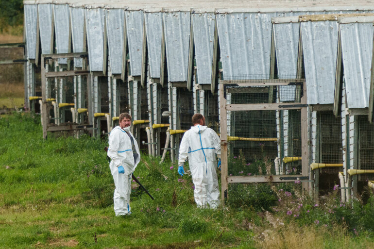 Finland Mink Farm 2023 WeAnimals Must Credit 3