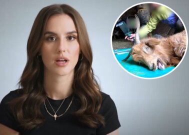 Lucy Watson Reveals the Shocking Cruelty of Cashmere in New PETA Video