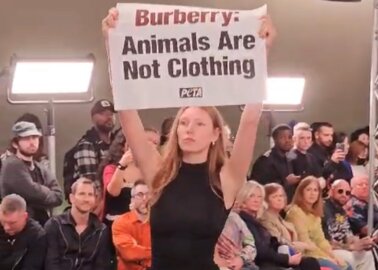 BREAKING: PETA Disrupts Burberry Fashion Show in London