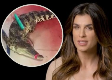 Watch Now: Will This Video Narrated by Italian Superstar Elisabetta Canalis Change Your Mind About Exotic Skins?