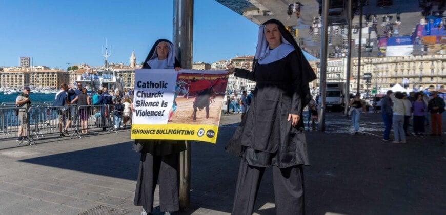 ‘Massive Nuns’ Name On Pope Francis to Finish the Church’s Ties to Bullfighting