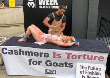 Hair Violently Torn From ‘Goat’ Outside London Fashion Week