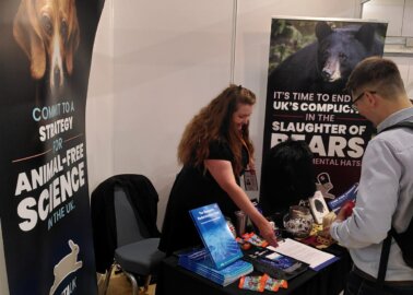 PETA Calls For Change for Animals During the Liberal Democrat Autumn Conference