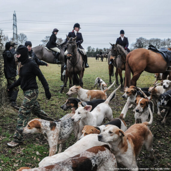 Urge the Government to Ban Children From Attending Hunts!