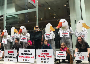 Stockholm Protest Calls For H&M to Ban Down