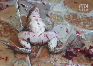 Urge Supermarket Chain Carrefour to Stop Selling Frogs’ Legs