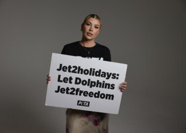 Olivia Bowen and Belle Hassan Urge Jet2holidays to Break Up With Marine Parks