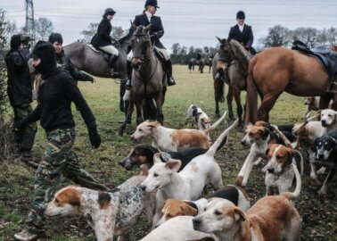 Ricky Gervais, Mark Rylance, Twiggy, and Others Call For Ban That Would Stop Children From Attending Hunts