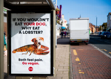 PETA’s New Ad Gives Food for Thought to the Residents of Bridlington